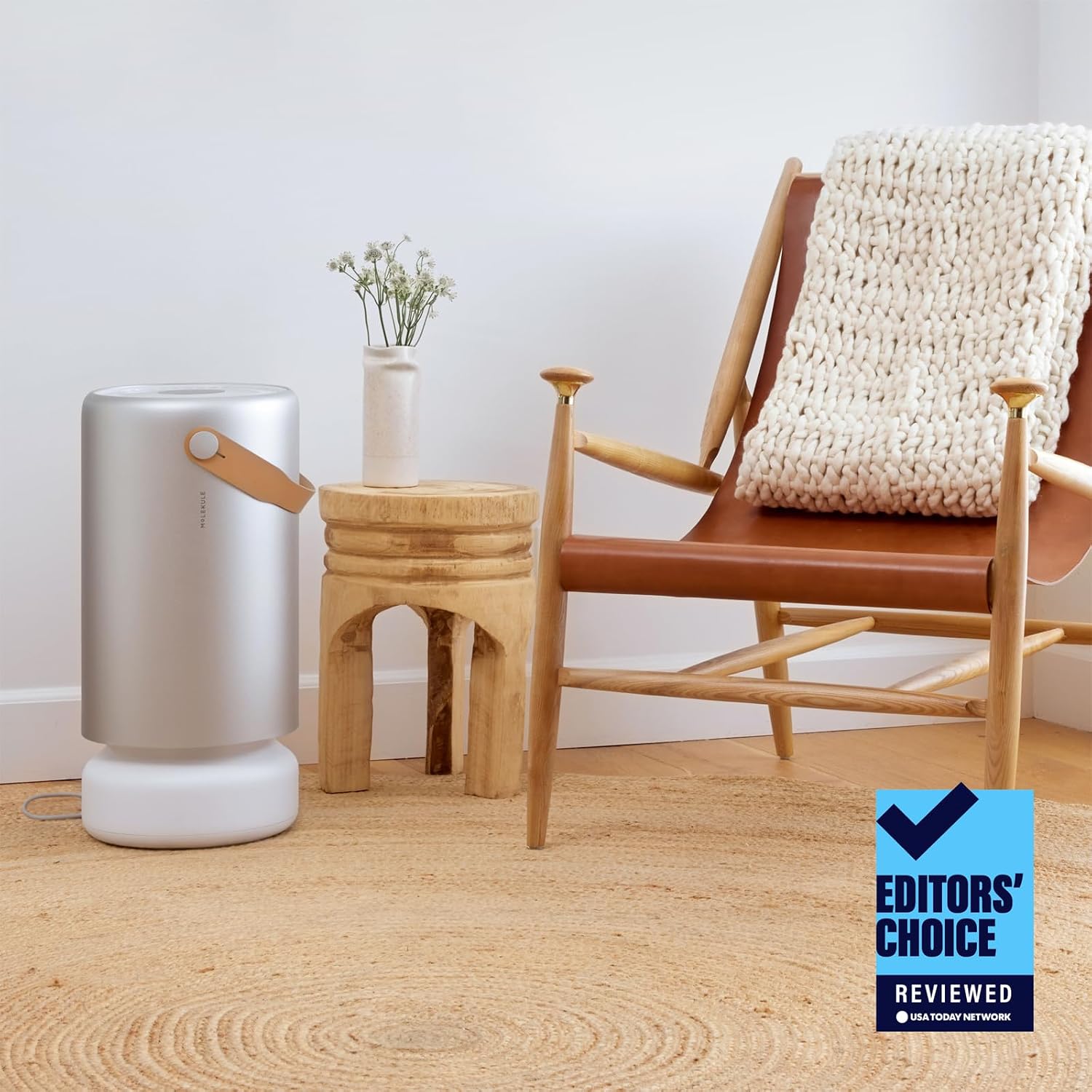 Molekule Air Pro Purifier for Large Rooms/Offices up to 93m² - PECO, Alexa, Destroys Allergens, Bacteria, Viruses, Smoke, Mould, VOC, Smart Sensor